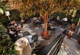 Olivia Plaza Hotel