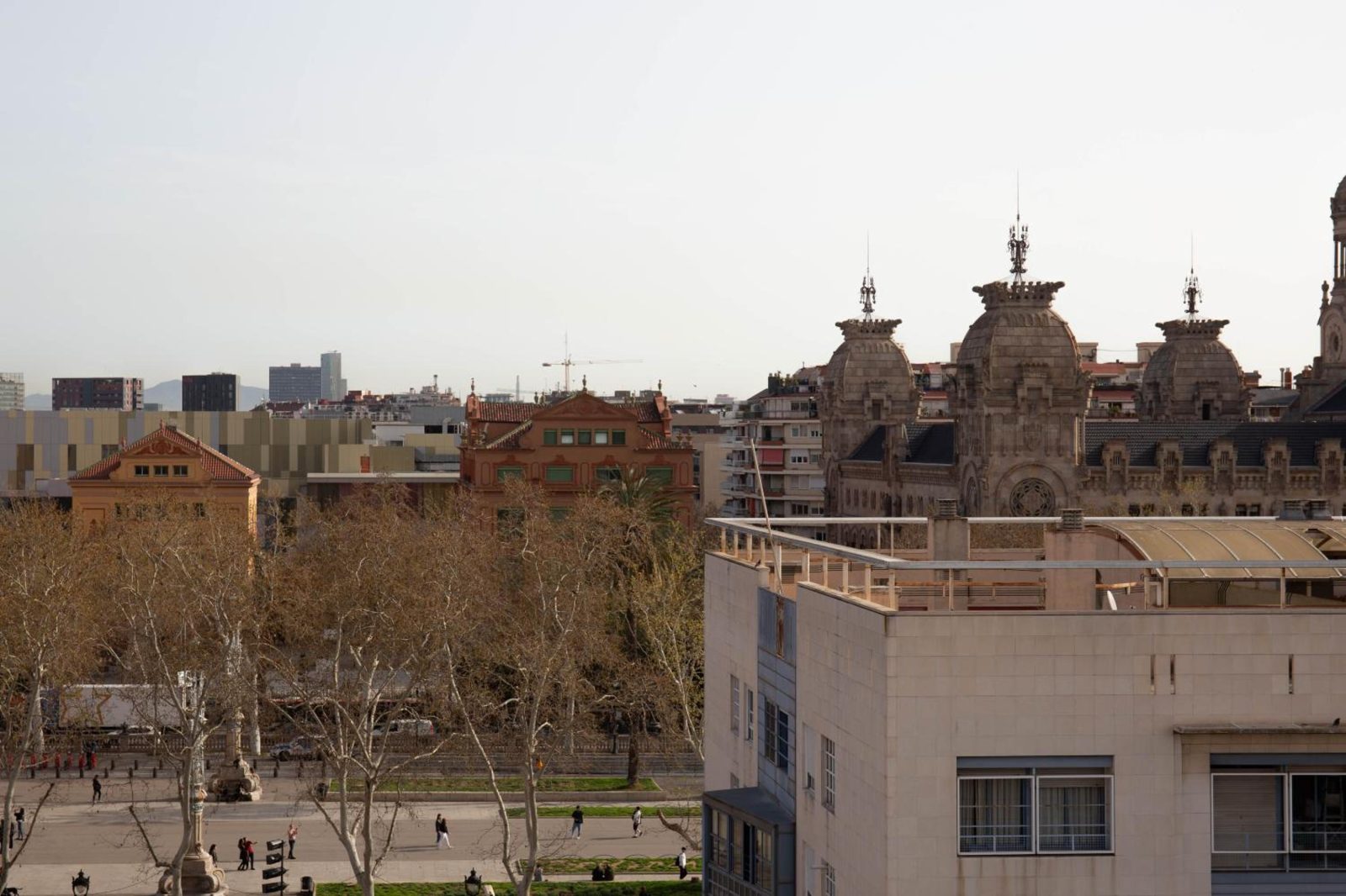 Miiro Borneta — photo 4